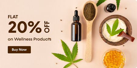 20% Off